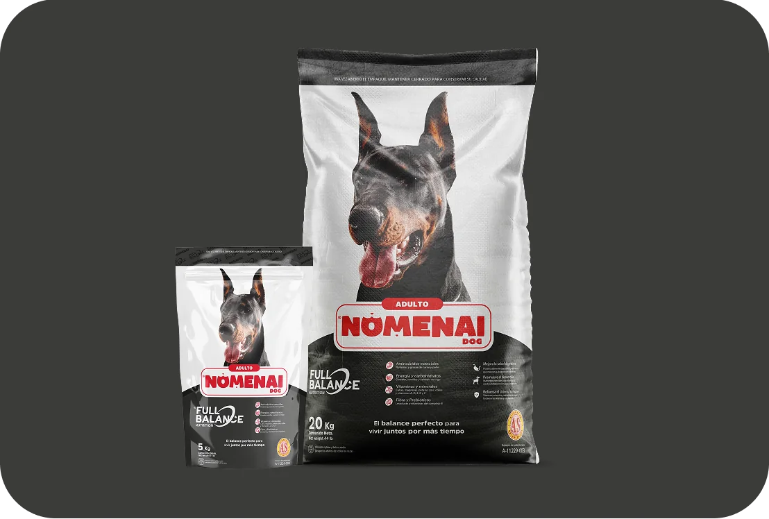 imagen de producto para perro adulto