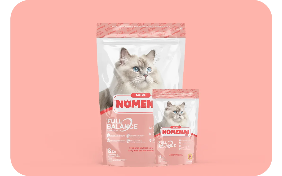 imagen de producto para gato