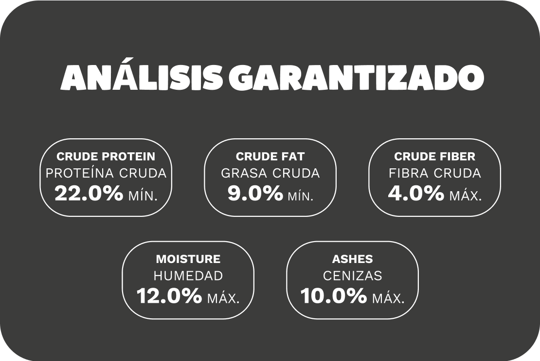 Información detallada para perro adulto
