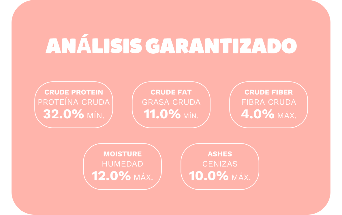 Información detallada para perro adulto