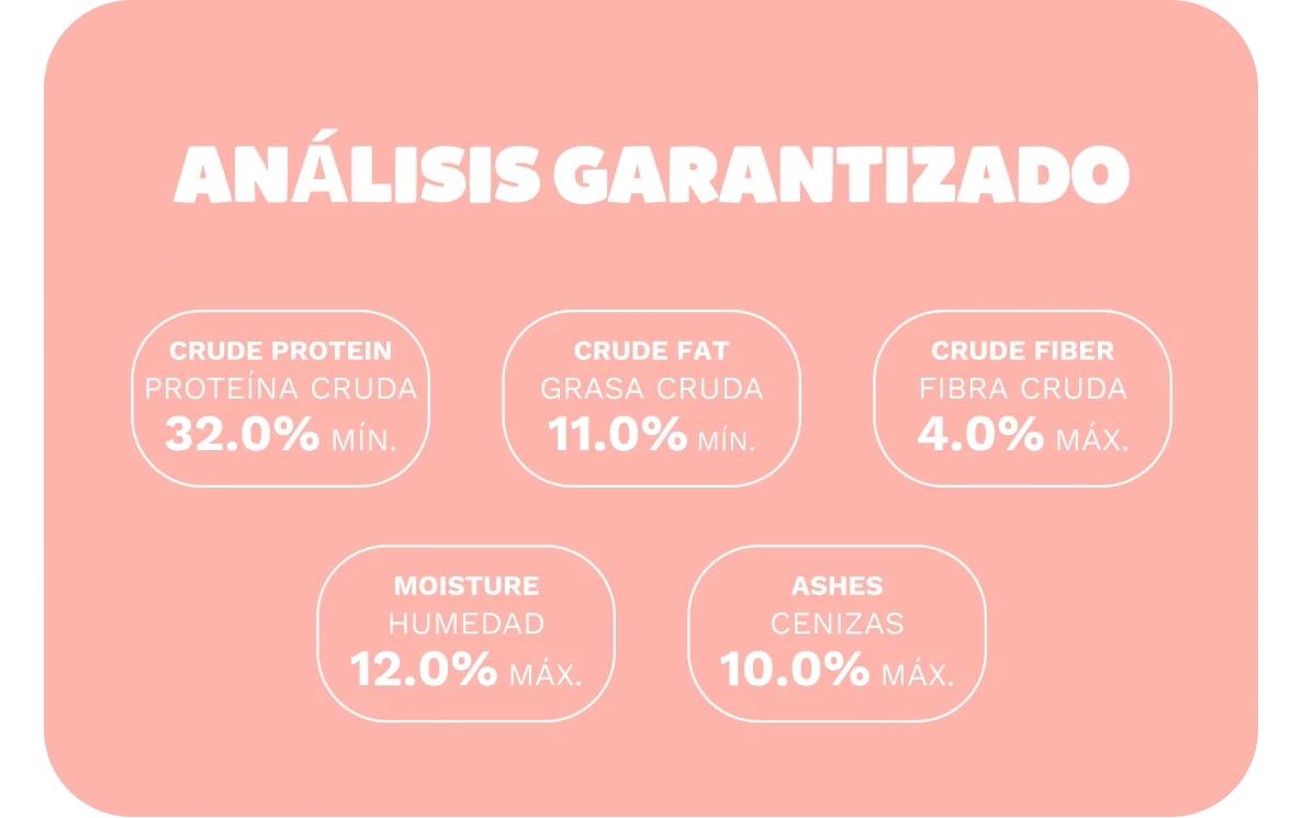 Información detallada para gato